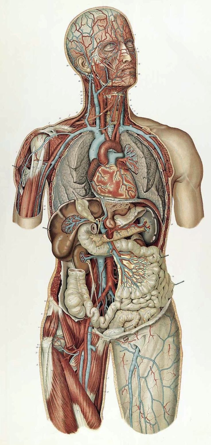 Med