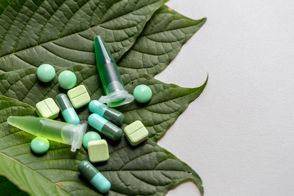 Science Research leaves of Mitragyna speciosa (kratom) and Chemical analysis  in Lab.