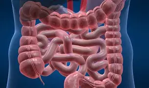 usus